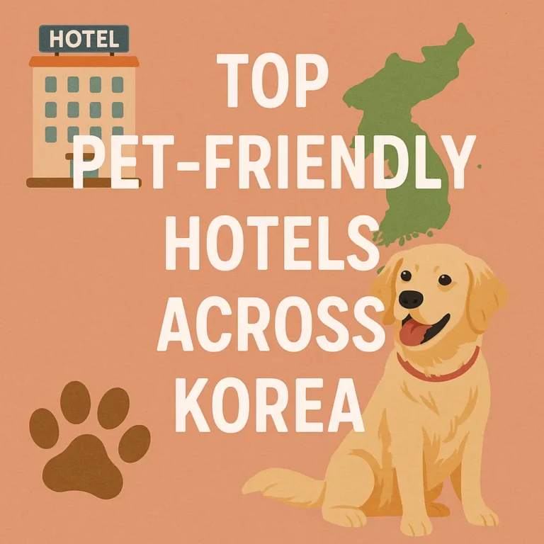 Pet-friendly hotels
